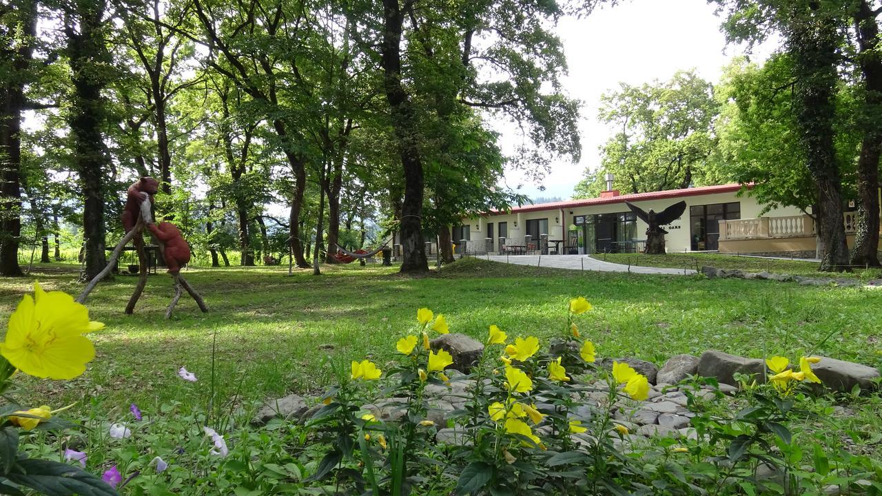 Kvareli Oaks Extérieur photo