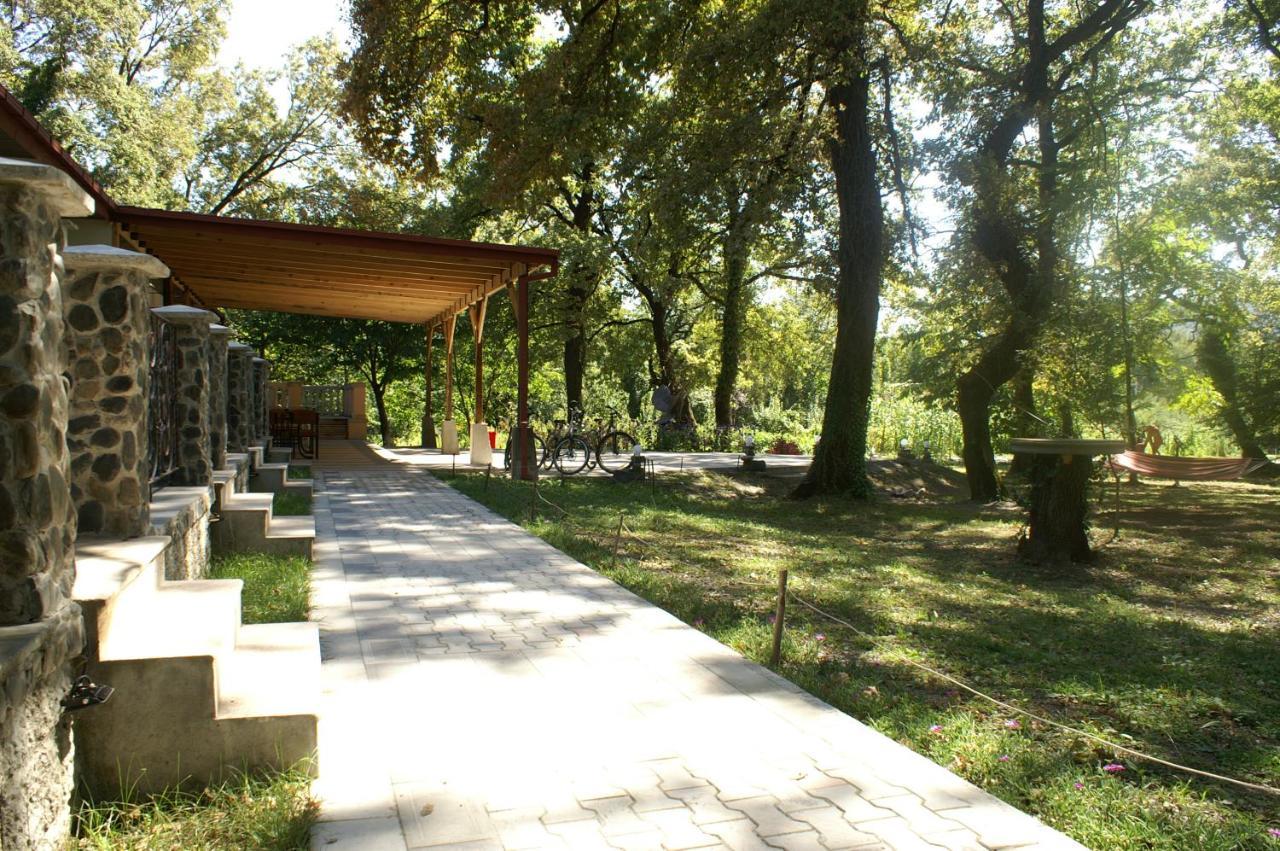 Kvareli Oaks Extérieur photo